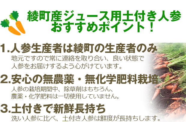 綾町産 無農薬・有機栽培 土つき人参 無農薬・無化学肥料栽培のジュース用人参 有機JASジュース用人参 自然食品店.com