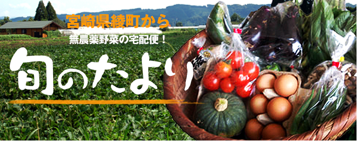 無農薬野菜セット「旬のたより」 野菜 自然食品店.com